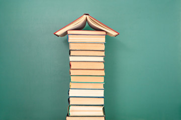 部编版小学六年级上册语文只有一个地球教案5篇