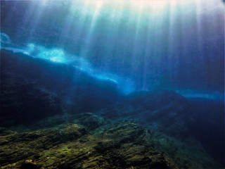 婚礼司仪主持词