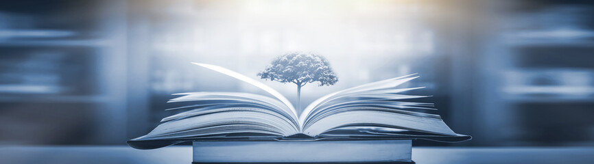 要三首英文歌歌词