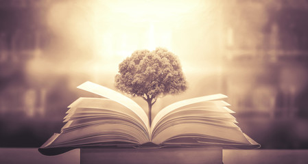 印迹和印记什么意思区别