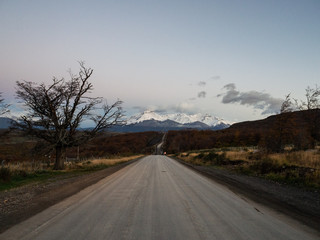 家庭养花入门知识大全