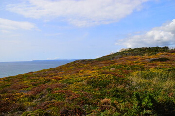 幼儿园小学生教案怎么写