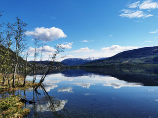 简便运算4年级简便运算大全