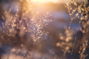 微生物有哪些作用？