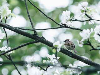 汽车发电机为什么会坏-