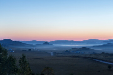 家庭养花入门知识大全