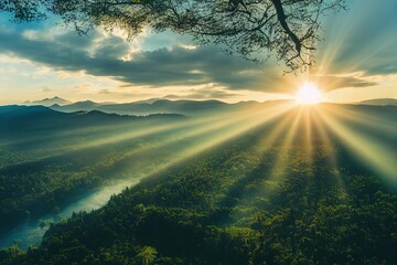 家庭养花入门知识大全