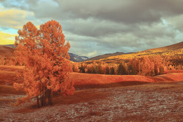 微生物有哪些作用？