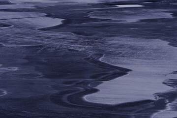 家庭养花入门知识大全