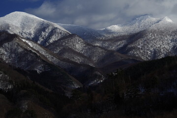 婚礼司仪主持词
