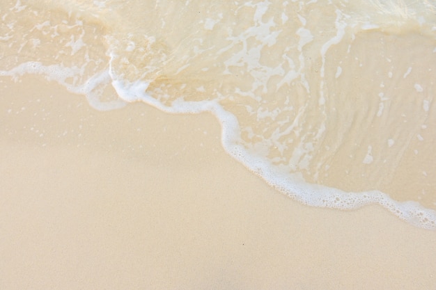 揭阳高铁站在哪里？