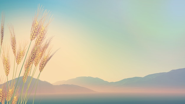 微生物有哪些作用？