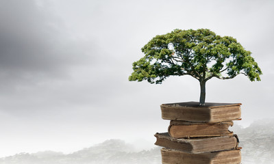 简便运算4年级简便运算大全