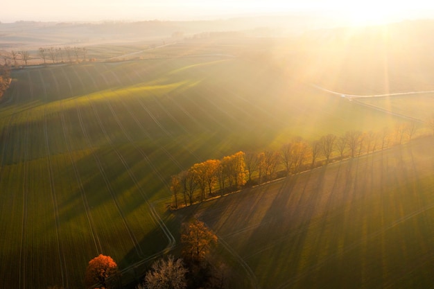 部编版小学六年级上册语文只有一个地球教案5篇