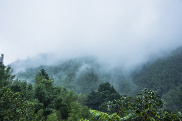微生物有哪些作用？